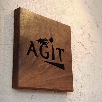 AGIT LOGO
