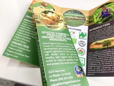 宣传单+三折页设计与印刷